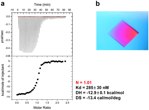 mrk2239_fig06