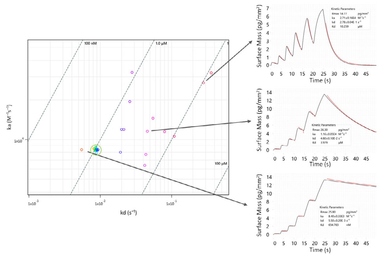 [Figure 6 WP201001-throughput-booster-binding-interaction-screening.jpg] Figure 6 WP201001-throughput-booster-binding-interaction-screening.jpg