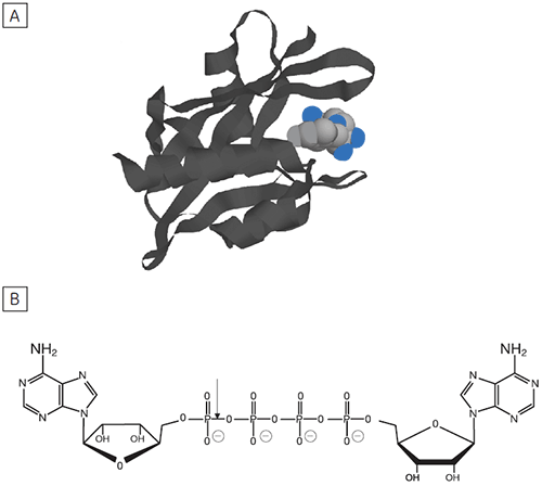 mrk2073_fig06