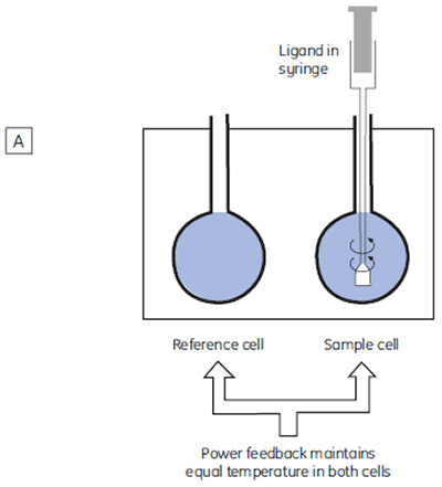 mrk2075_fig02a