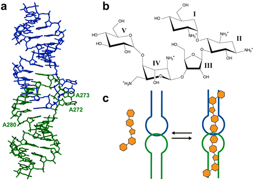 mrk2239_fig01