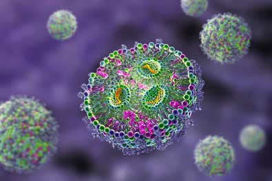 w250618-lipid-nanoparticle-tools