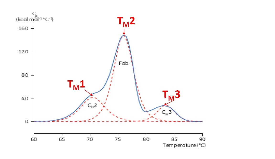 WP160725BiopharmStabilityDSCFormulations-Figure-2