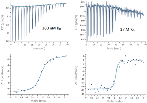 MRK2185_fig02