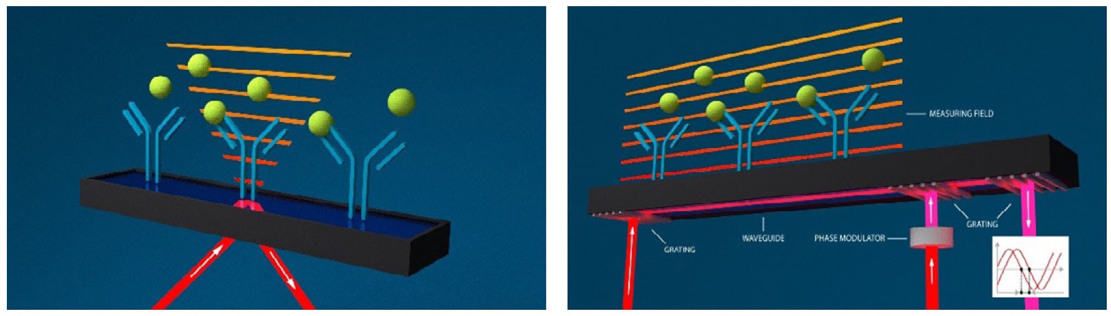 [Figure 4 WP201001-throughput-booster-binding-interaction-screening.jpg] Figure 4 WP201001-throughput-booster-binding-interaction-screening.jpg