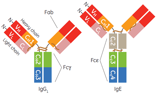 MRK2051-01_fig01