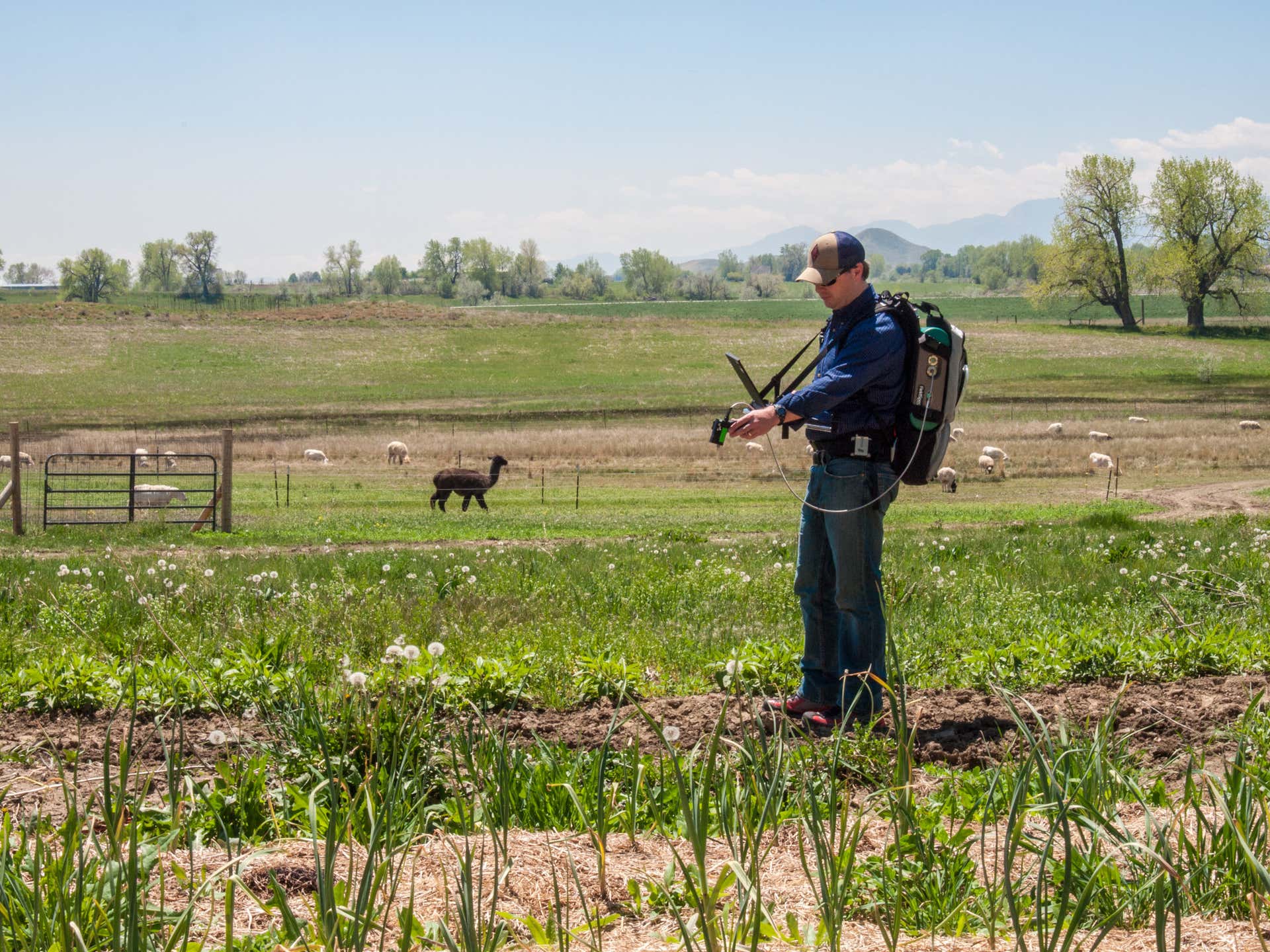 便携手持式光谱仪