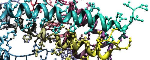 Interaction analysis masterclass: From hit identification to orthogonal validation with GCI and ITC 