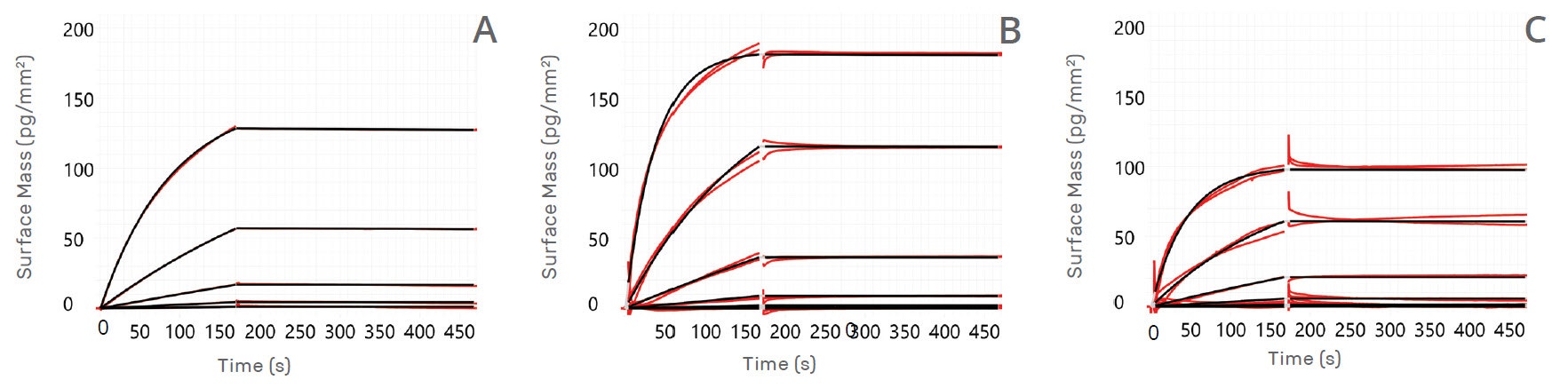 [Figura 1 TN201124-Creoptix-affinity-kinetics-antibodies-serum.jpg] Figura 1 TN201124-Creoptix-affinity-kinetics-antibodies-serum.jpg