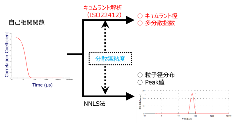 図4．光子相関法の解析の流れ