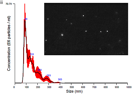 mrk2125_fig03b