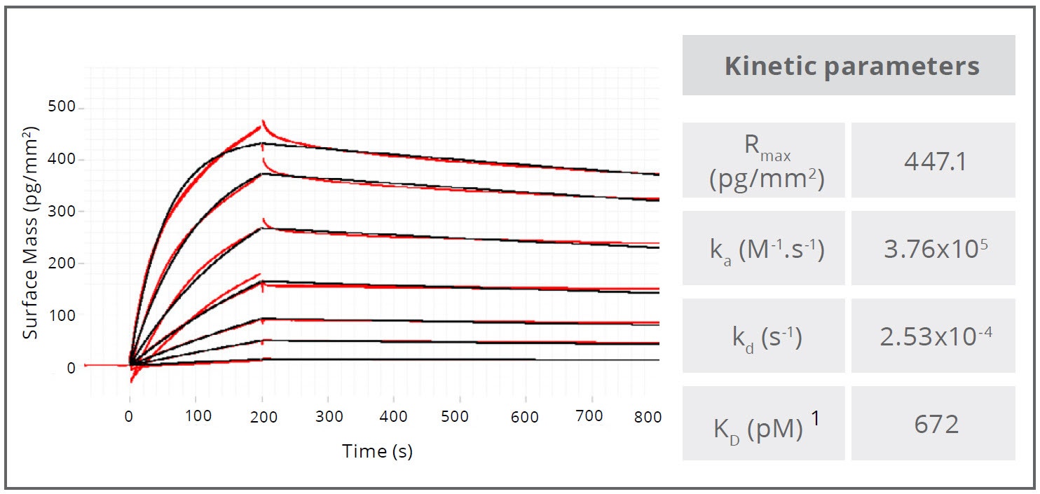 [Figure 2 TN201124-Creoptix-antibody-characterization-plasma-binding.jpg] Figure 2 TN201124-Creoptix-antibody-characterization-plasma-binding.jpg