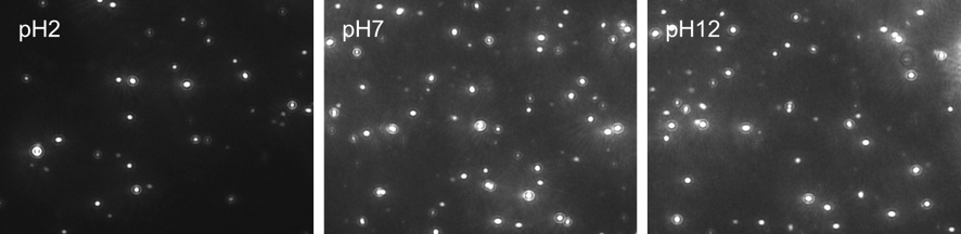 [AN260714-figure3.png] AN260714-figure3.png