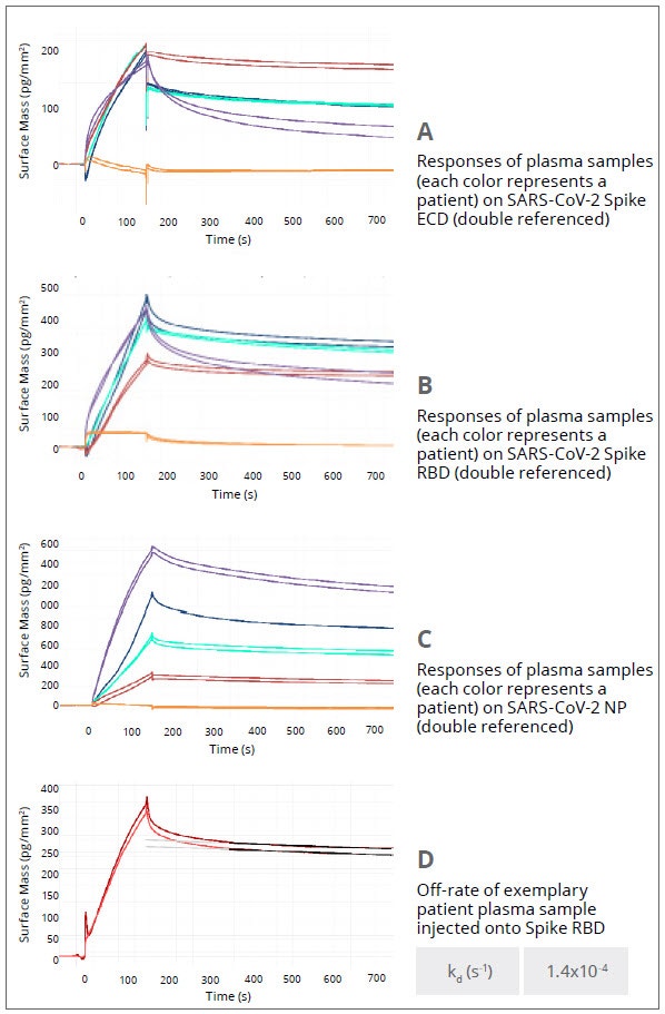 [Figure 4 TN201124-Creoptix-antibody-characterization-plasma-binding.jpg] Figure 4 TN201124-Creoptix-antibody-characterization-plasma-binding.jpg