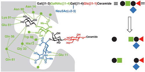 mrk2075_fig08