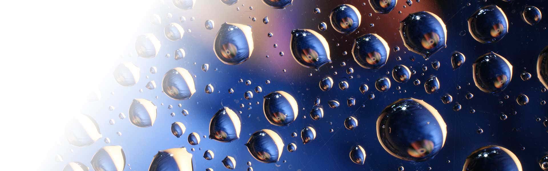 电泳光散射 (ELS)