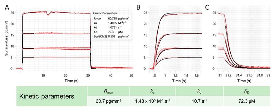 [Figure 5 v2 wp230915-creoptix-next-level-flexibility-drug-discovery.jpg] Figure 5 v2 wp230915-creoptix-next-level-flexibility-drug-discovery.jpg