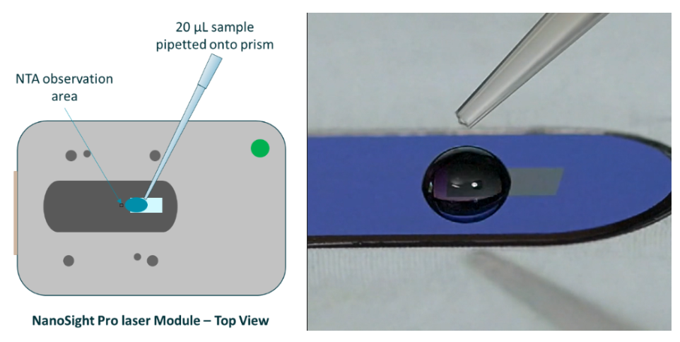 [Figure 1.1 TN260814-nanosight-pro-one-drop-method.png] Figure 1.1 TN260814-nanosight-pro-one-drop-method.png