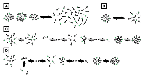 AN150911DemicellizationDataFromItc_01