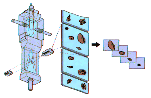 MRK1246 fig 2