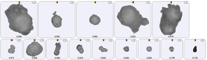 Fig 1 AN210218AutoIdentificationSubvisiblePaticles.jpg