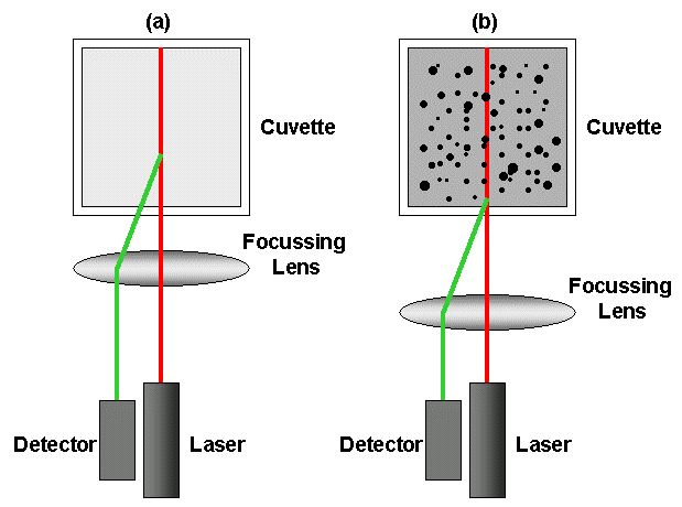 WP161006_FIG1