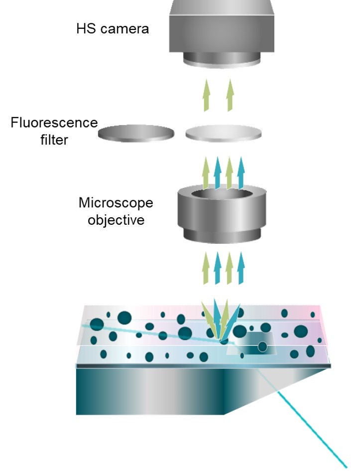 [Figure 1 WP240326-extracellular-vesicles-nta.jpg] Figure 1 WP240326-extracellular-vesicles-nta.jpg