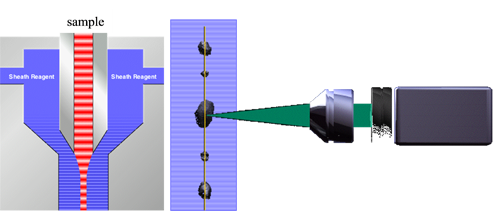 MRK1558 fig 1