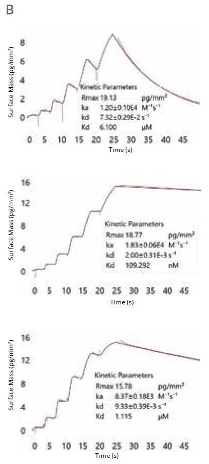 [Figura 1 B TN201001-HIT-discovery-novel-kinetic-assay.jpg] Figura 1 B TN201001-HIT-discovery-novel-kinetic-assay.jpg