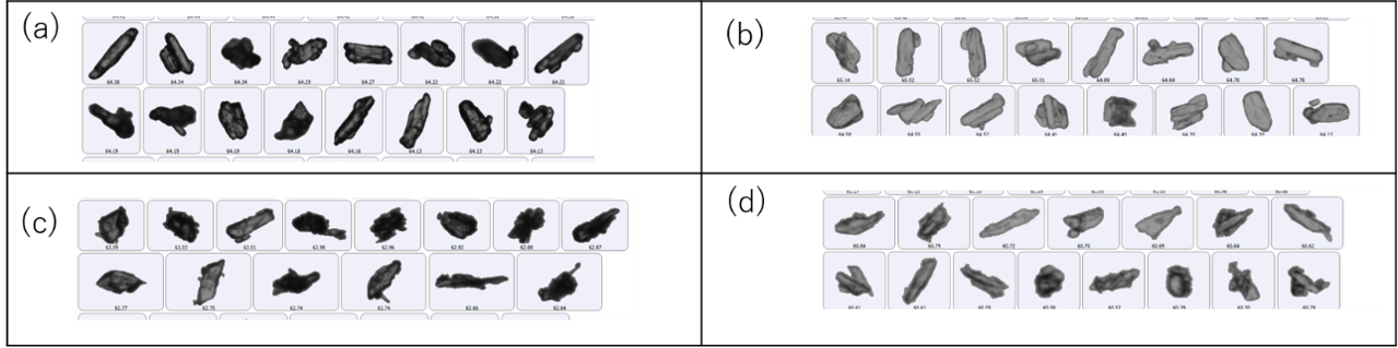[AN260723-figure3.png] AN260723-figure3.png