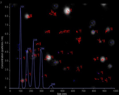 Image of a size distribution profile of a 5-size mixture from NanoSight NTA. Particle tracks are also shown