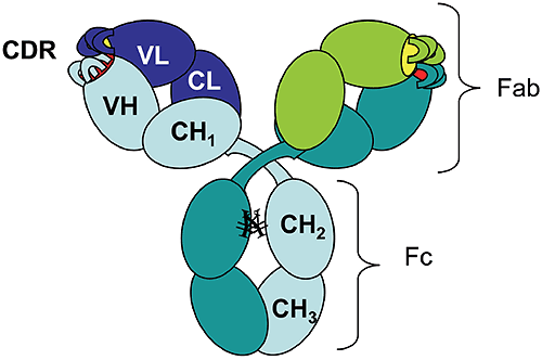 MRK2150_fig01