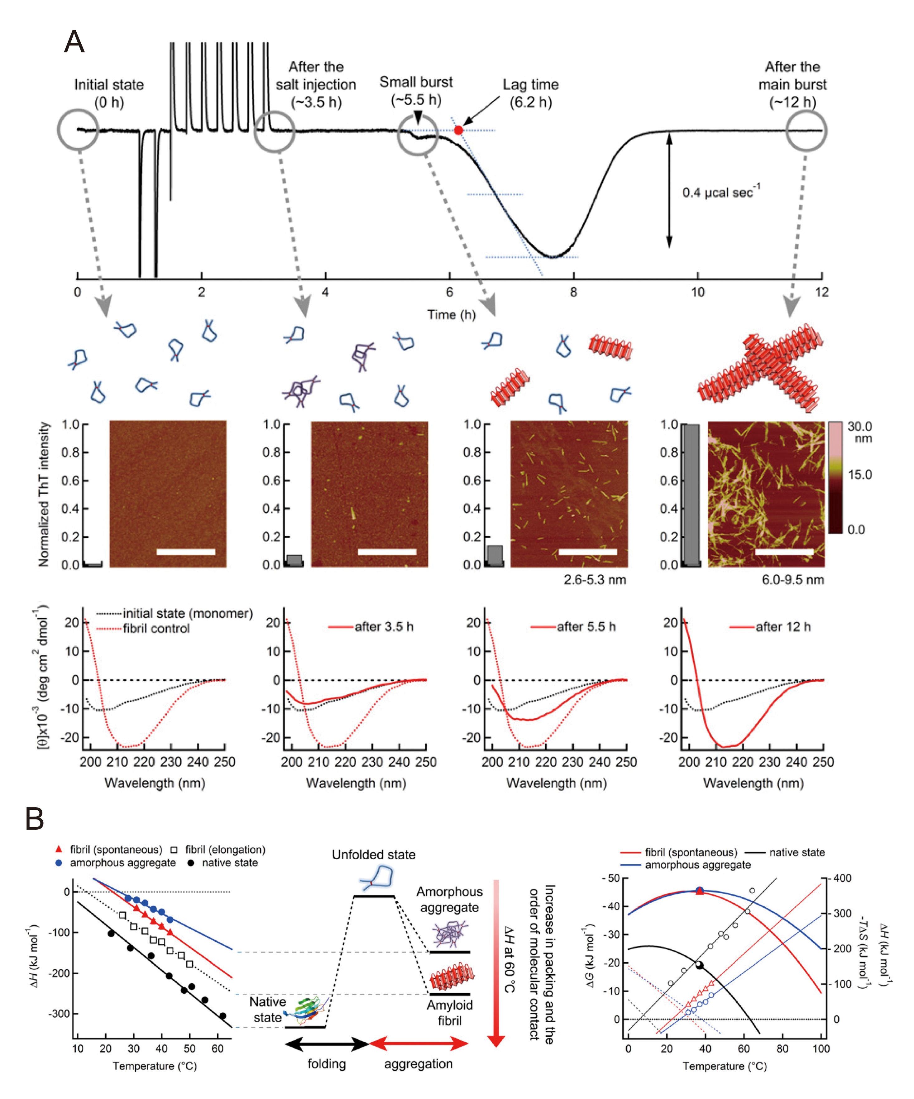 WP170307MicrocalorimetryProteinMisfoldingAggregation-Fig-7