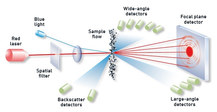 Fig 3.jpg