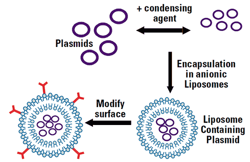 mrk307 fig3a