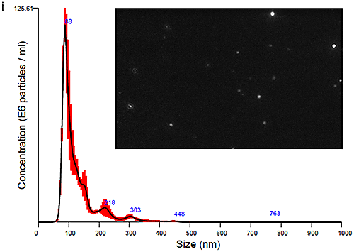 mrk2125_fig03a