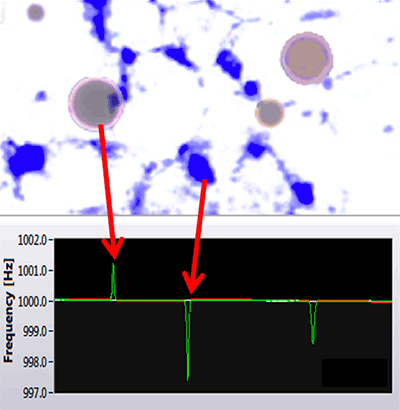 mrk2080_fig01