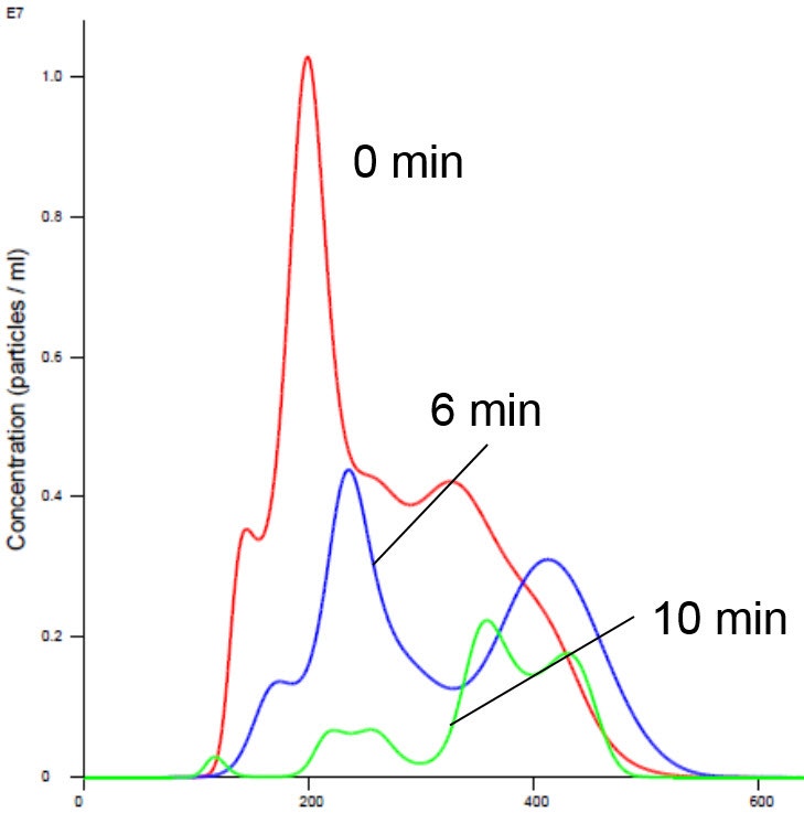 Size-distribution profiles of purified insulin receptors in manganese-containing buffer measured over time with Nanoparticle Tracking Analysis. At time zero the modal hydrodynamic diameter is approximately 200nm although larger particles were also present with a further peak around 350nm. After 6 minutes incubation in the buffer the overall measured concentration decreased and the modal peak occurred at 240nm with a second peak occurring around 425nm. By the end of a 10 minute incubation the overall concentration had dropped further with most of the particles being measured in the 300nm to 500nm size range. These data are indicative of the sample aggregating over time showing that this buffer formulation is not suitable for this insulin receptor sample.