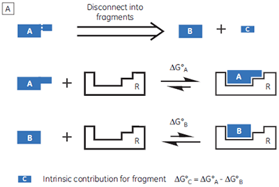 mrk2075_fig01a