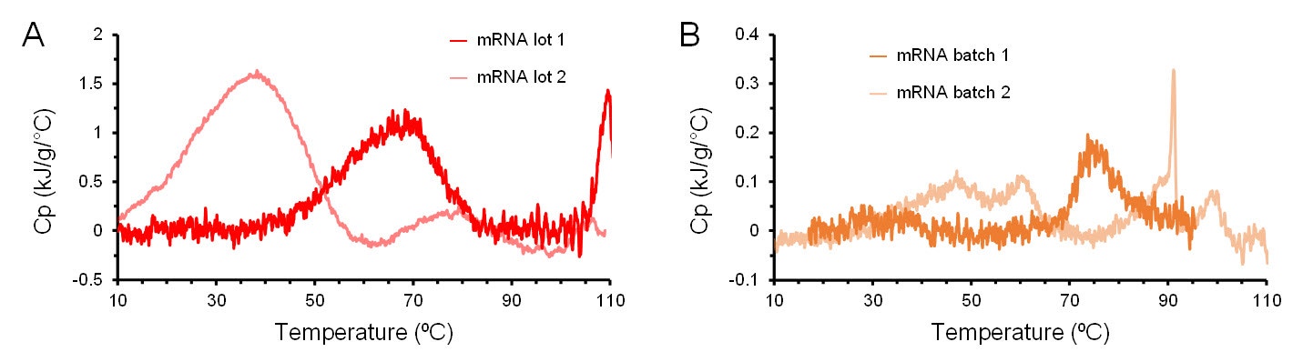 [Figure 5 AN230131-VV-lipid-nanoparticles.jpg] Figure 5 AN230131-VV-lipid-nanoparticles.jpg