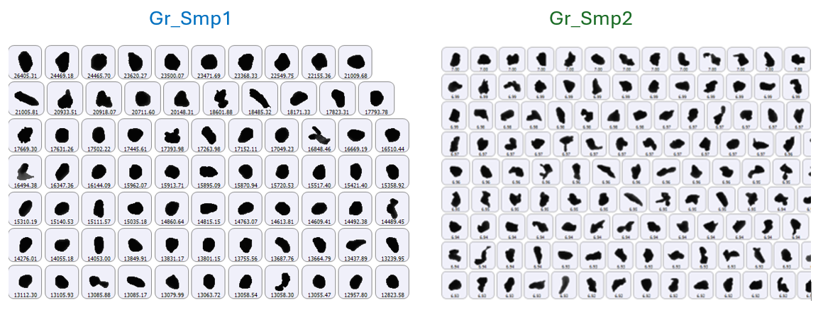 [AN260520-figure3-1.png] AN260520-figure3-1.png
