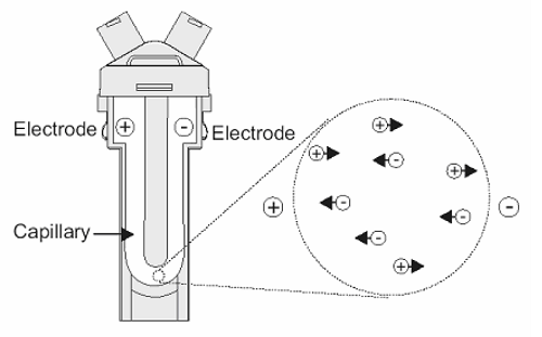 FAQ160705electrophoresis1