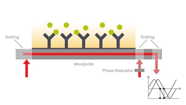 [Figure 2 v2 wp230915-creoptix-next-level-flexibility-drug-discovery.jpg] Figure 2 v2 wp230915-creoptix-next-level-flexibility-drug-discovery.jpg