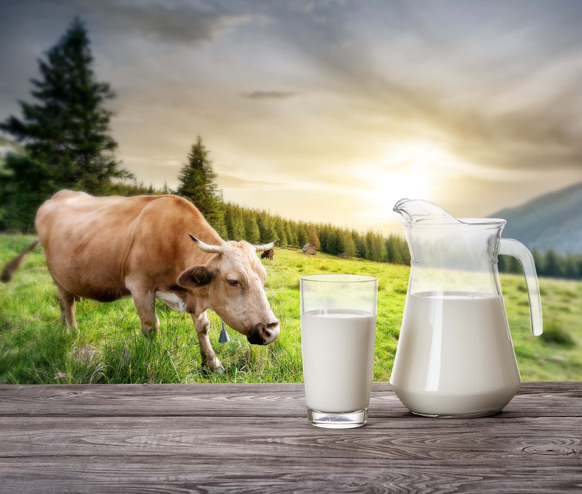 Analizadores de productos lácteos