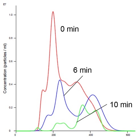 Image of Insulin Receptor alone in Mn buffer showing aggregation-NTA-figure-3