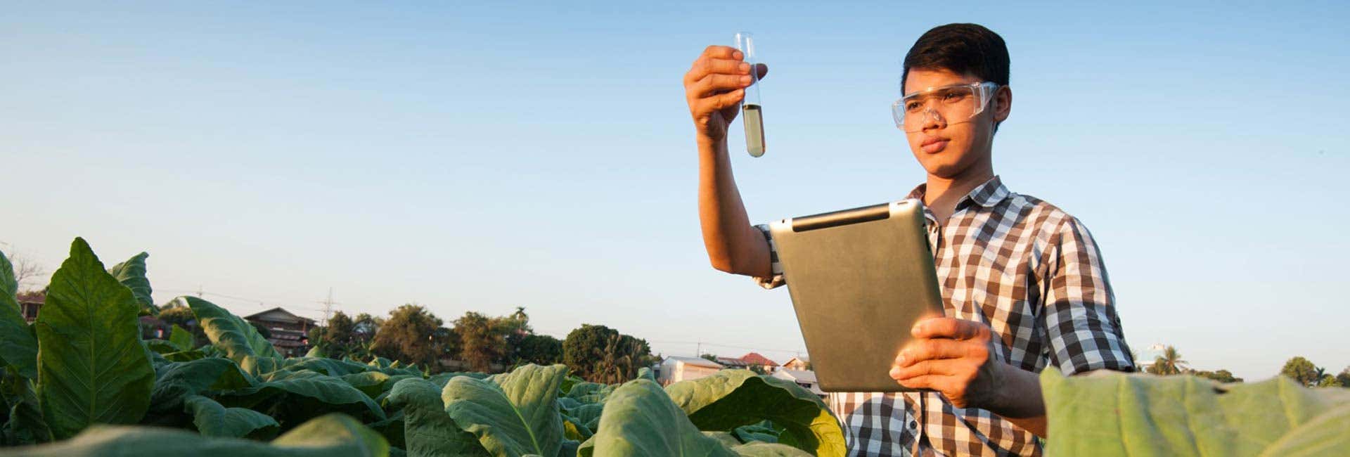 Agriculture and food sciences