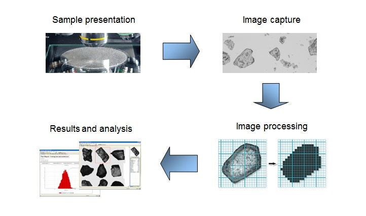 fig 9 workflow.jpg