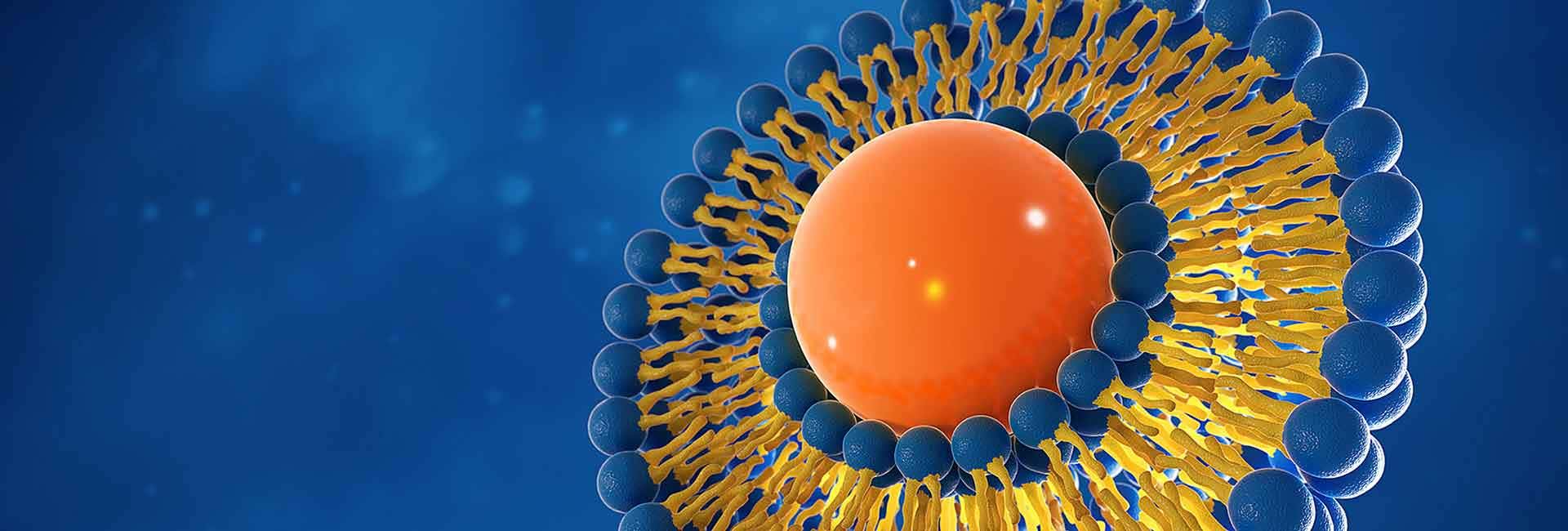 リポソームおよびナノ粒子ベースの製剤処方