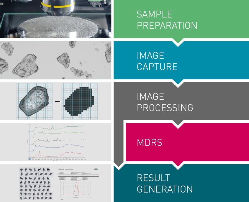 Morphological workflow with MDRS