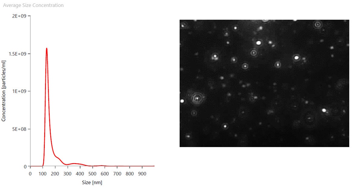 [Figure 1 AN240913-lentivirus-size-titer-nanosight-pro.jpg] Figure 1 AN240913-lentivirus-size-titer-nanosight-pro.jpg